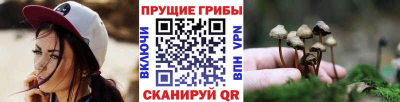 Псилоцибиновые грибы Psilocybe  Ялуторовск 